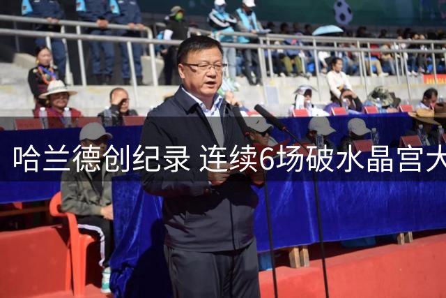 哈兰德创纪录 连续6场破水晶宫大门跻身历史前三